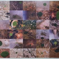 Issue #150 February – Watersheds: America, Australia, China, India