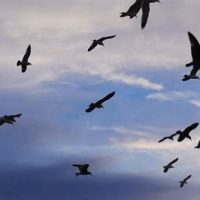 Remembering Keith Tester 1960 – 2019