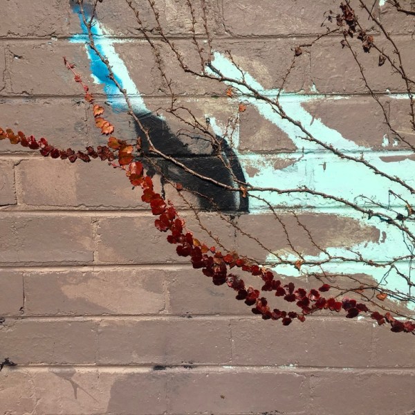 The Unexpected Effect of Coronavirus: The Re-Birth of Sociology [and Sociologists]?!?