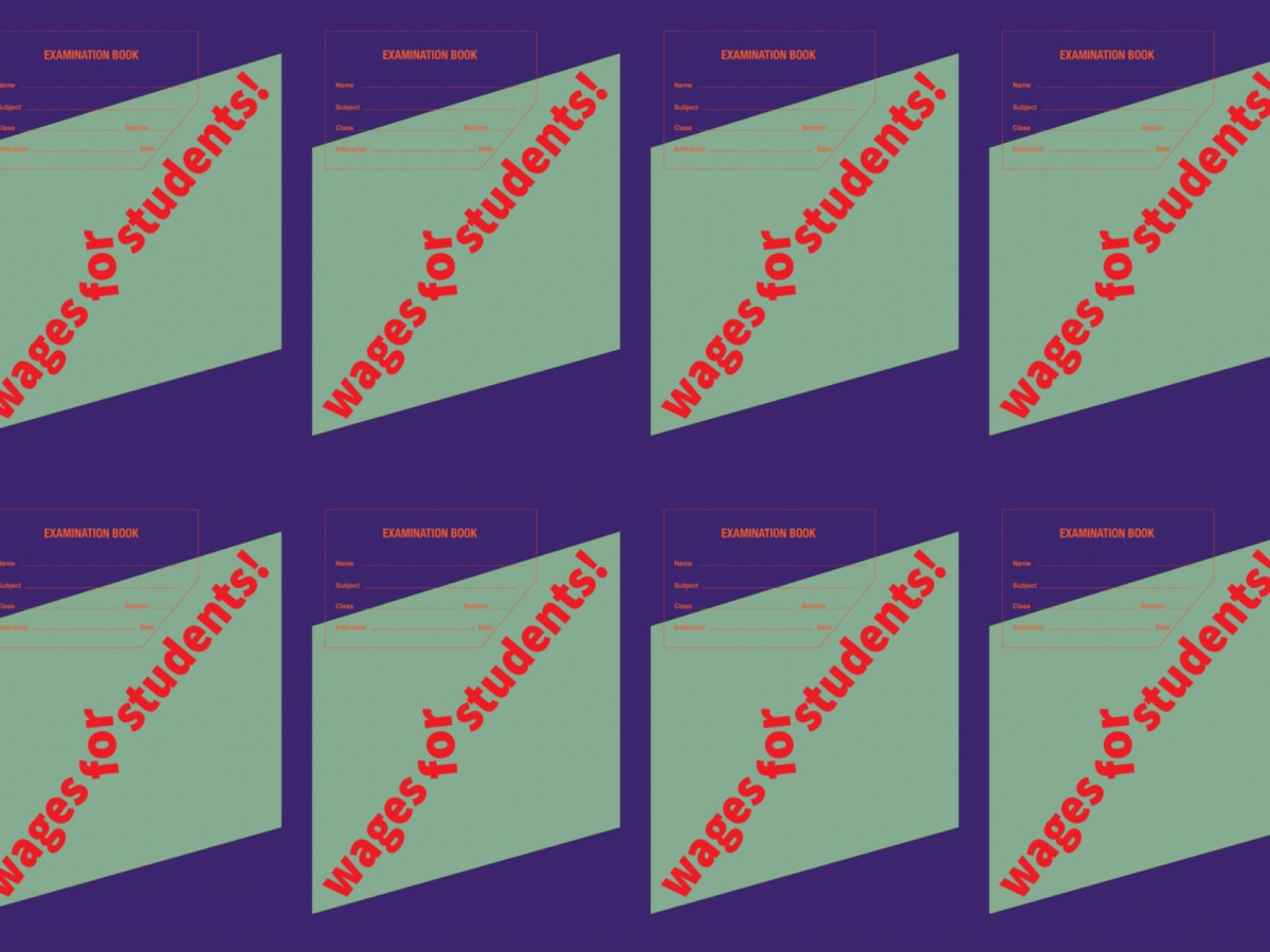 New Wages For Students: A poster after Lotta Feminista