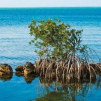 Book Review: Reimagining Nations and Rethinking Futures