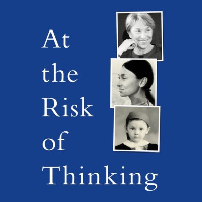 Book Review: At the Risk of Thinking