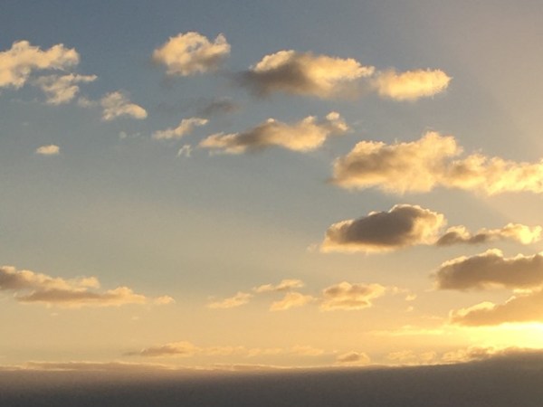 Harry Redner 1937-2021: Commemoration of his Life and Work