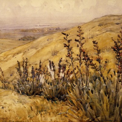 A Meeting of Minds: Peter Beilharz, Public Intellectual and Friend