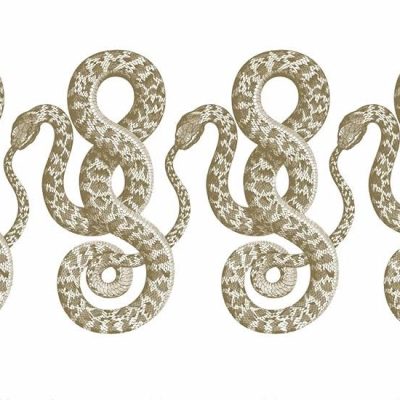 Book Review: Cannibal Capitalism